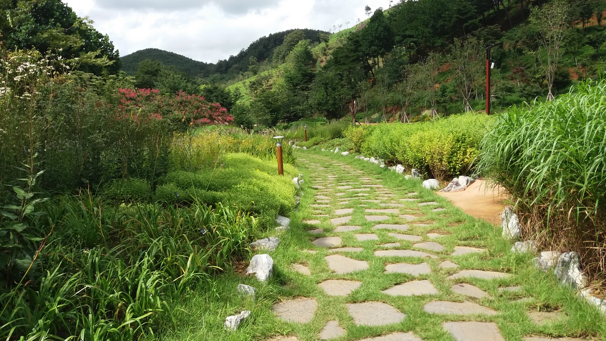 수목원 여름맞이 그 세번째