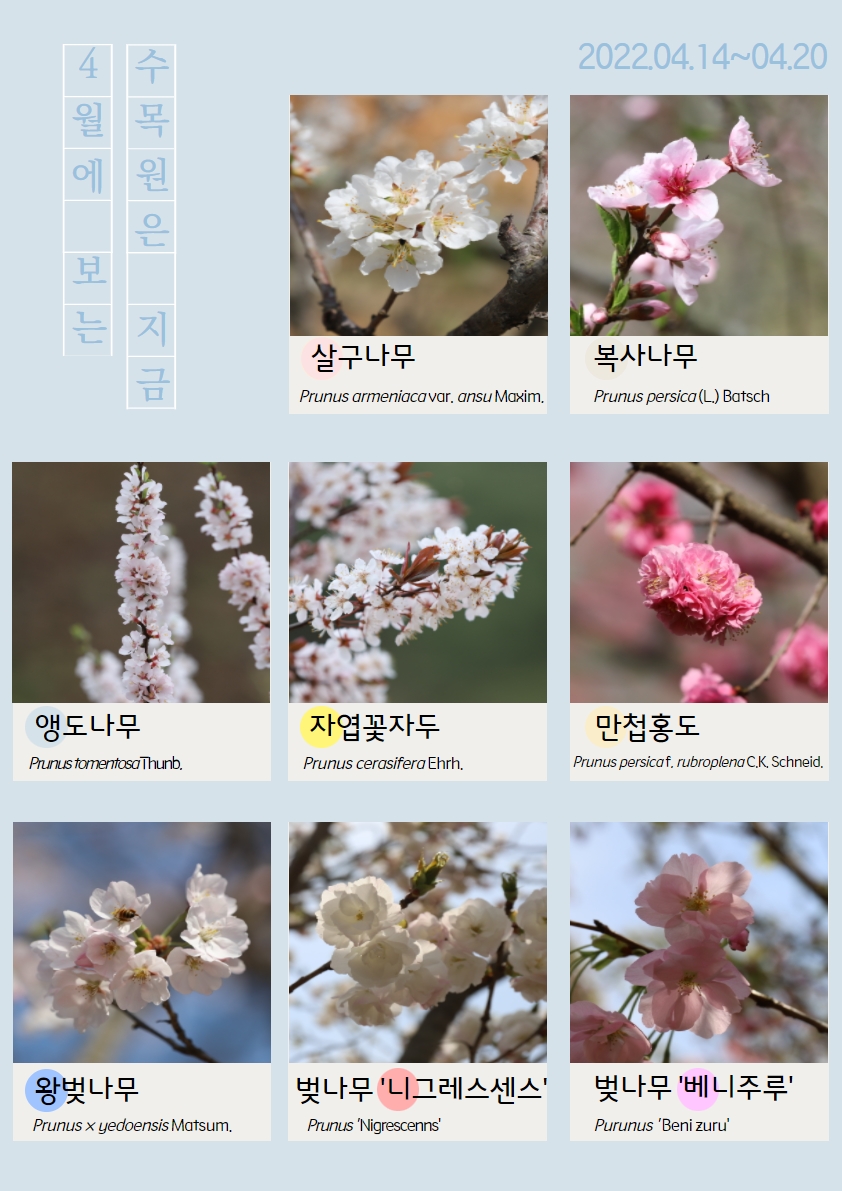 4월의 식물(2022.04.14.~04.20.)