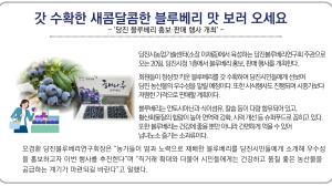 ‘당진 블루베리 홍보·판매 행사 개최’