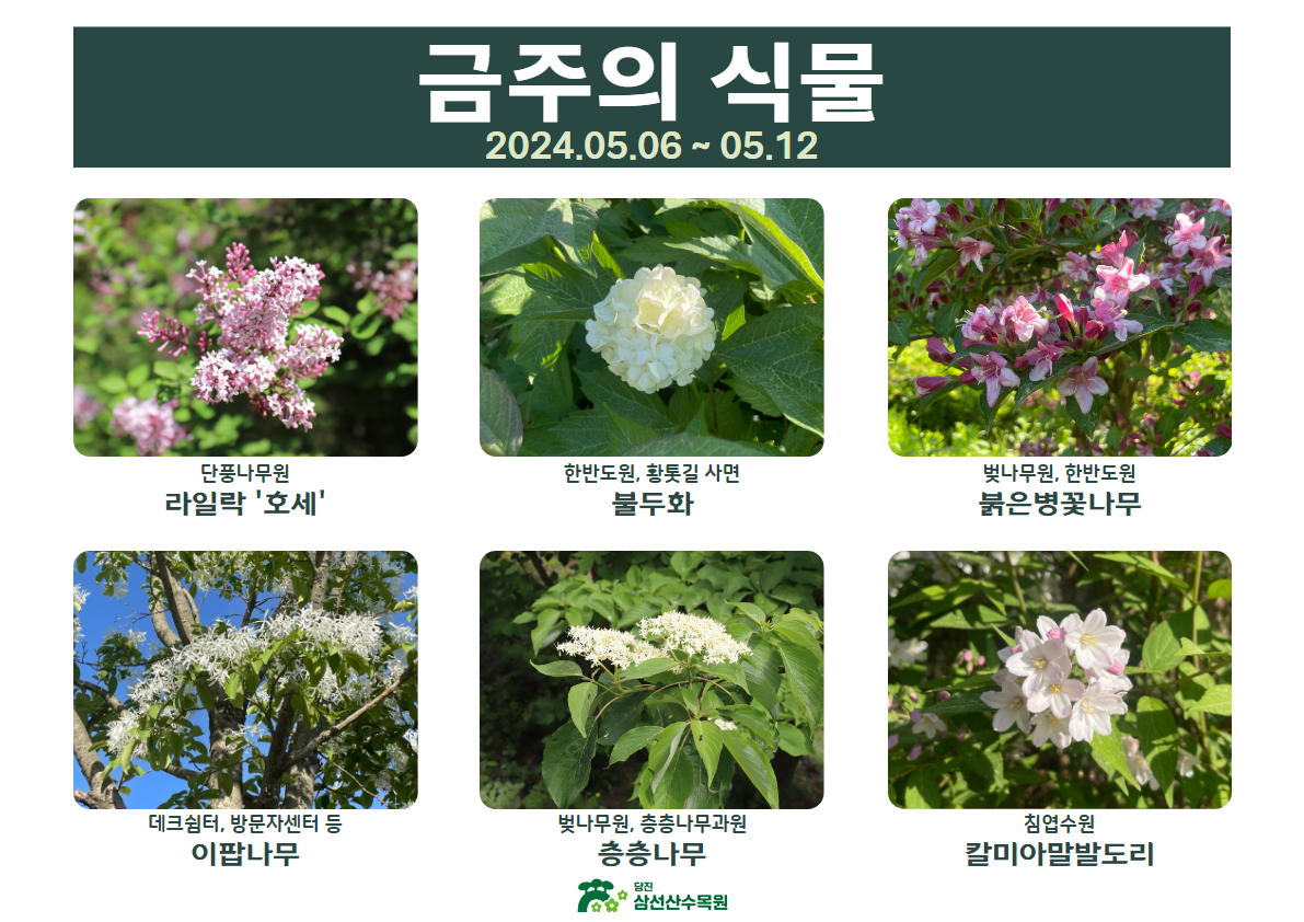 5월의 식물(2024.05.06.~05.12.)